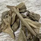 للبيع عود مروكي طبيعي