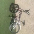 سيكل كوبرا عنابي