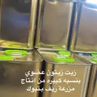 زيت زيتون عصره اولى على البارد وعضوي بنسبه كبيره