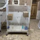 اقفاص طيور