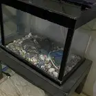 حوض سمك مع الفلتر