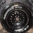 جنوط تاهو