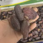 موجود عجواء وصفاوي وعنبر ومجدول