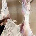 نص خروف او تيس نص او ربع على حسب الرغبة والذبح عند الاكتمال