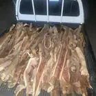 صندوق هايلوكس للبيع 2010