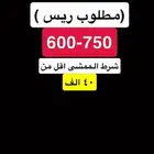 ريس دباب
