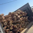 البدائع