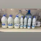 متوفر لبن غنم وزبدة غنم وسمن غنم طازج وجديد