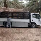 سعف نخل جريد نخيل صريف للبيع يوجد توصيل