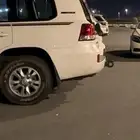 جنوط لاندكروزر 2014
