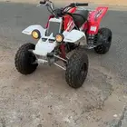 للبيع بانشي