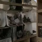حمام فرنسي