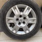 جنوط و كفرات برجستون وطيس التيما