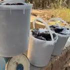 للبيع تمر رميثيه حلوه بقعاء