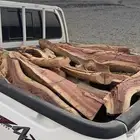 حطب