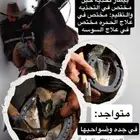 بيطار خيل عربي وانقليزي