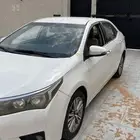كوريلا 2015