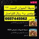 حديقة الحيوانات السبت 22 نوفمبر