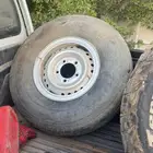 اسبير شنبر شاص كفر صيني 21 تاريخ بزرعه