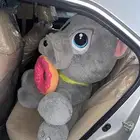 كلب للبيع على السوم