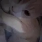 بيع