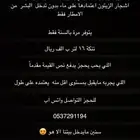زيت زيتون فلسطيني عصرة اولى جودة على الشرط