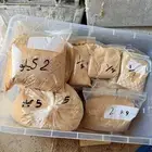 علف دواجن