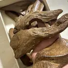 عود مروكي كسر مباخر حجم كبير