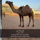 عشرا صفرا
