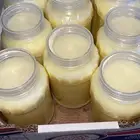 سمن غنم بري