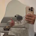 تم البيع