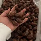 تمر   سري فاخر 600 كرتون
