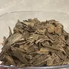 بروناي ملكي دبل ( تم البيع )