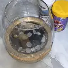 حوض سمك للبيع