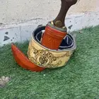 جنبية جنوبيه وتر