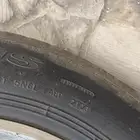 بوالين ماكسس
