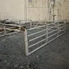 شد دباب ديهادتسو