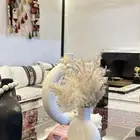 خيام - خيمة-خيمة الشيخة-الصقور