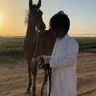 فرس ومهره