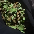 حناء بلدي للبيع