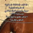 إيواء خيل   غرف خيل  بواديك خيل