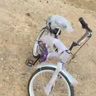 سيكل نضيف جديد