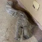 اكسل باك بورلا S type - كرايسلر تشارجر جيب SRT