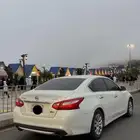 التيما 2017