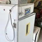 فقاستين للبيع