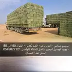 برسيم رخيص جدا