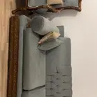 كنب تركي جوده ممتازه