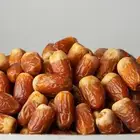 صقعي الدلم الفاخر