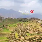 أراضي للبيع في باحة ربيعة