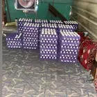 بيض دجاج فواتح مخصب ملقح